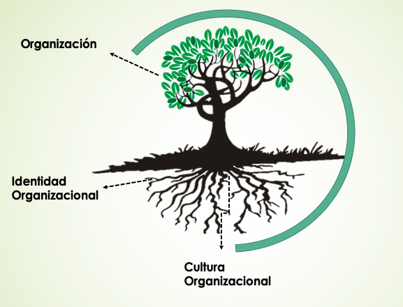 Figura
3. Met&aacute;fora
de la relaci&oacute;n entre la cultura e identidad organizacional 

 