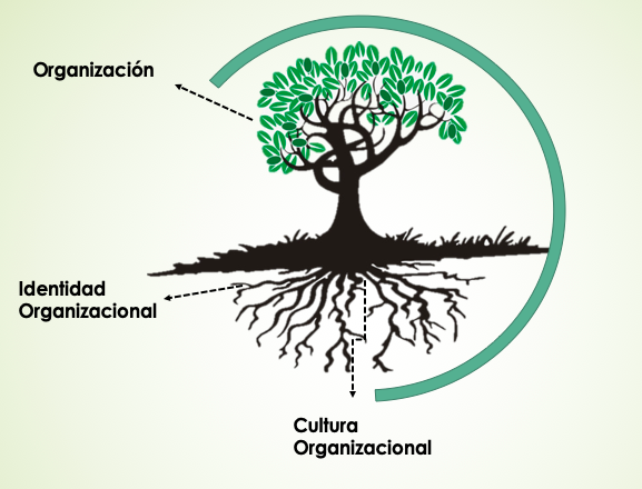 Figura
3. Metáfora
de la relación entre la cultura e identidad organizacional 

 