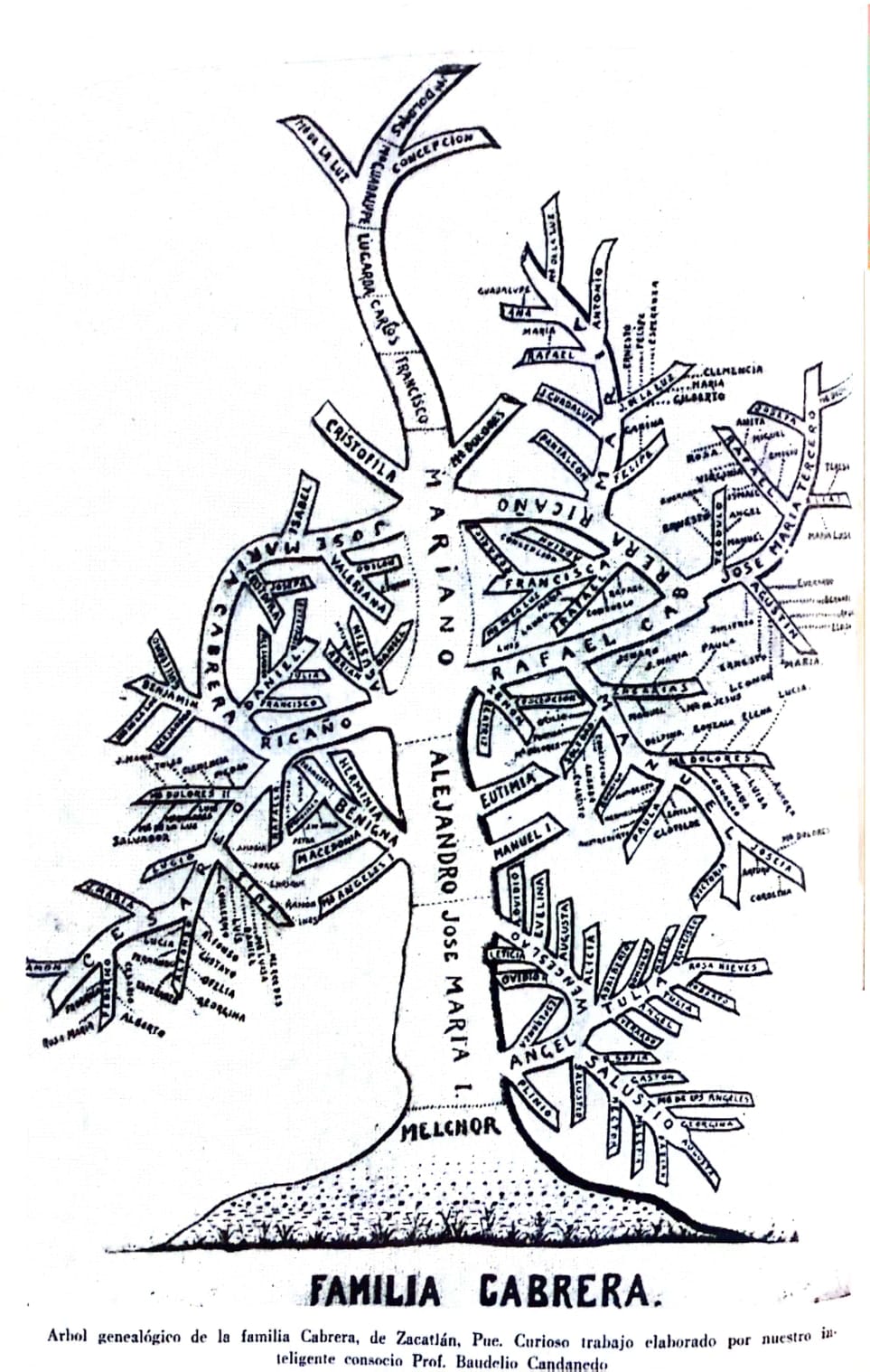 Imagen 2. Árbol genealógico de la familia Cabrera.